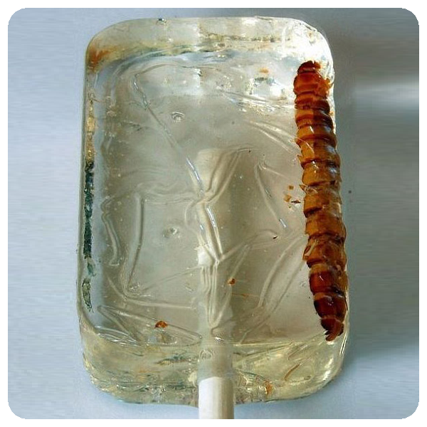 Леденец из мескаля с червяком внутри